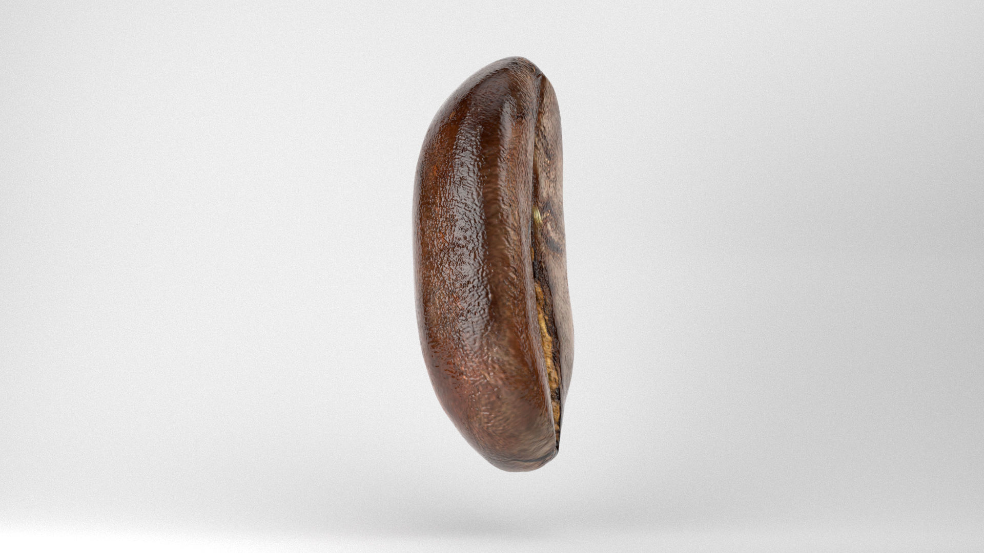 Realistic Coffee Bean 3D model_3