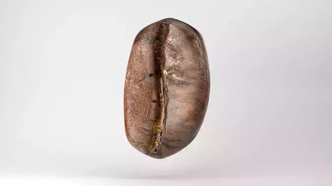 Realistic Coffee Bean 3D model Realistic Coffee Bean 3D model