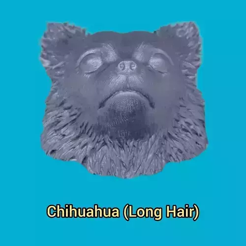 Long Hair Chiuhauha - Handle 3D print model