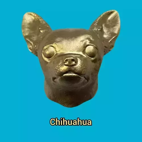 Chiuhauha - Handle 3D print model