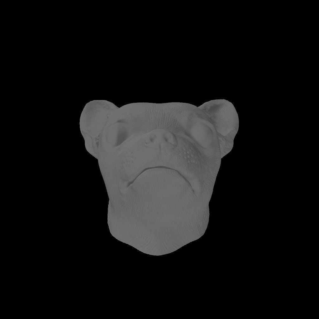 Chiuhauha - Handle 3D print model_1