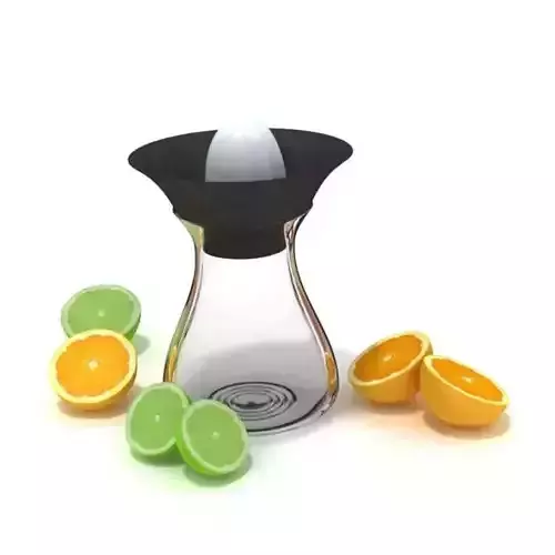 Fruit Juicer