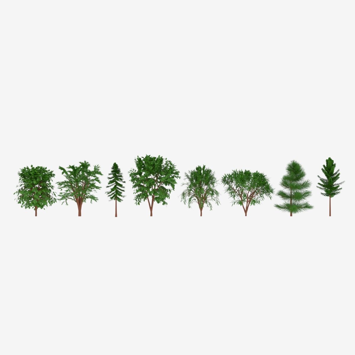 Tree Collection different trees 3D model_7