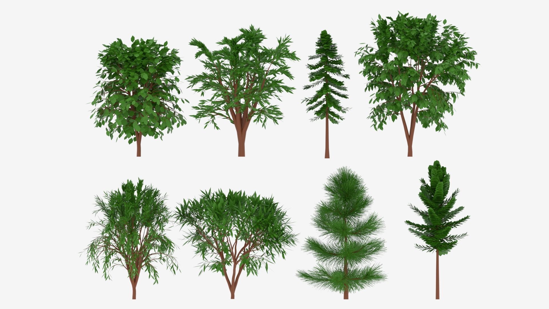 Tree Collection different trees 3D model_1
