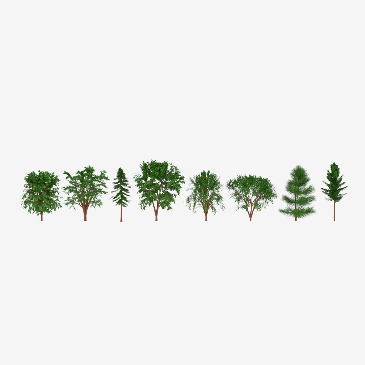 Tree Collection different trees 3D model_6