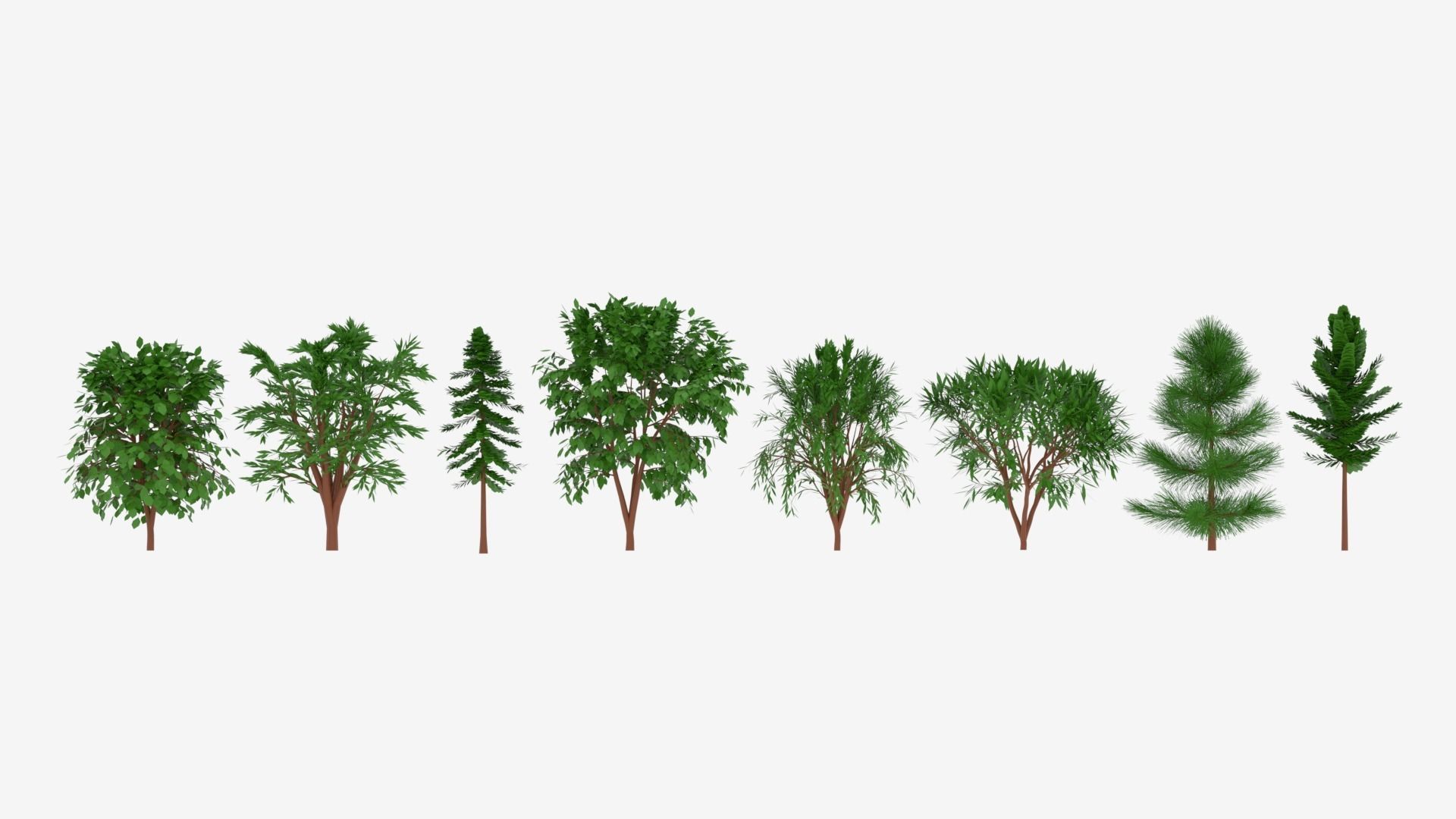 Tree Collection different trees 3D model_5