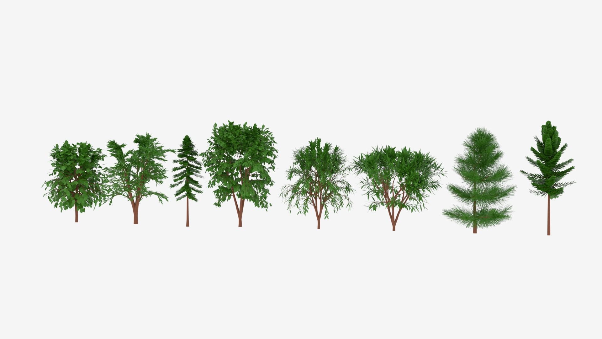 Tree Collection different trees 3D model_10