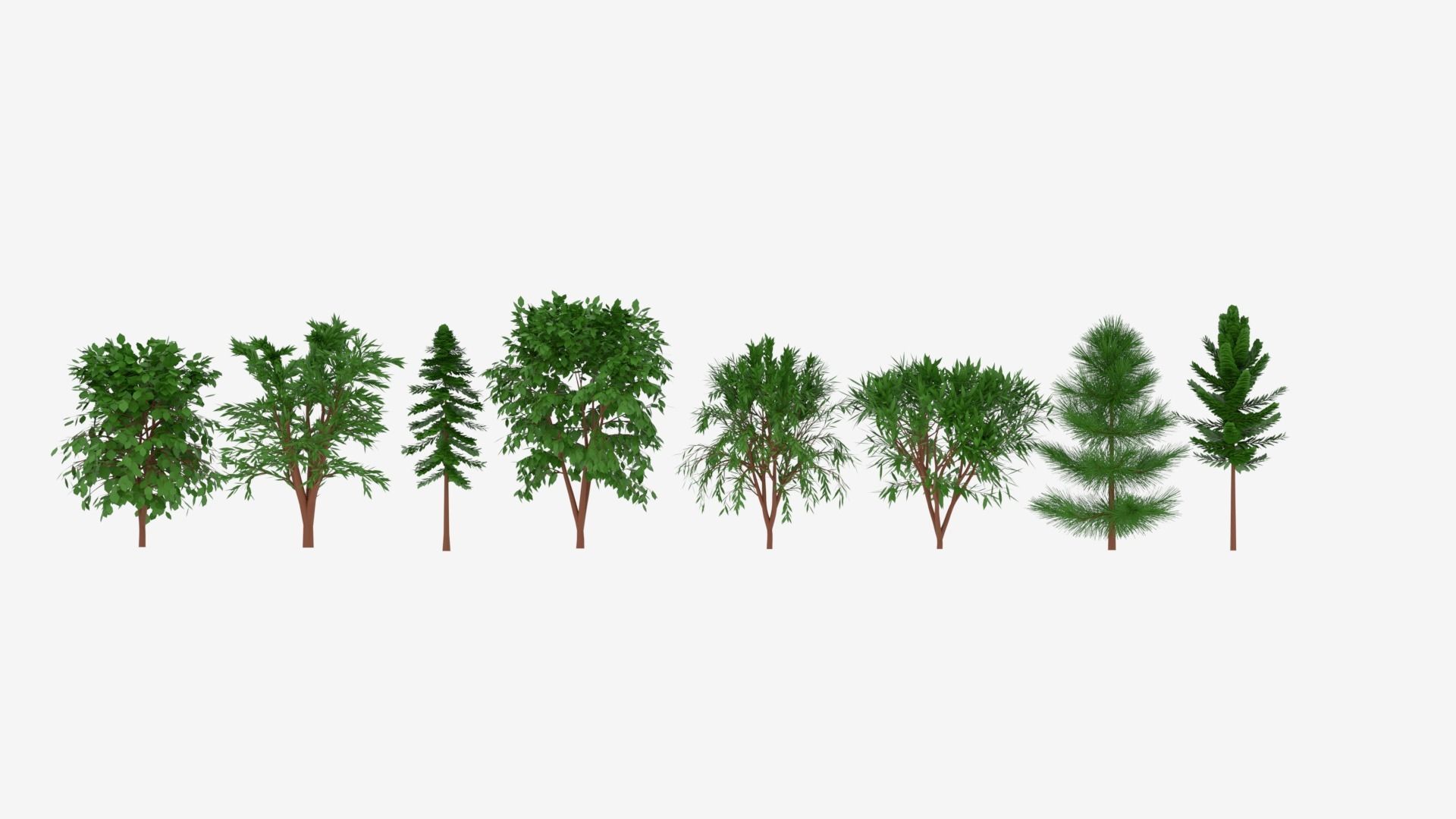 Tree Collection different trees 3D model_11