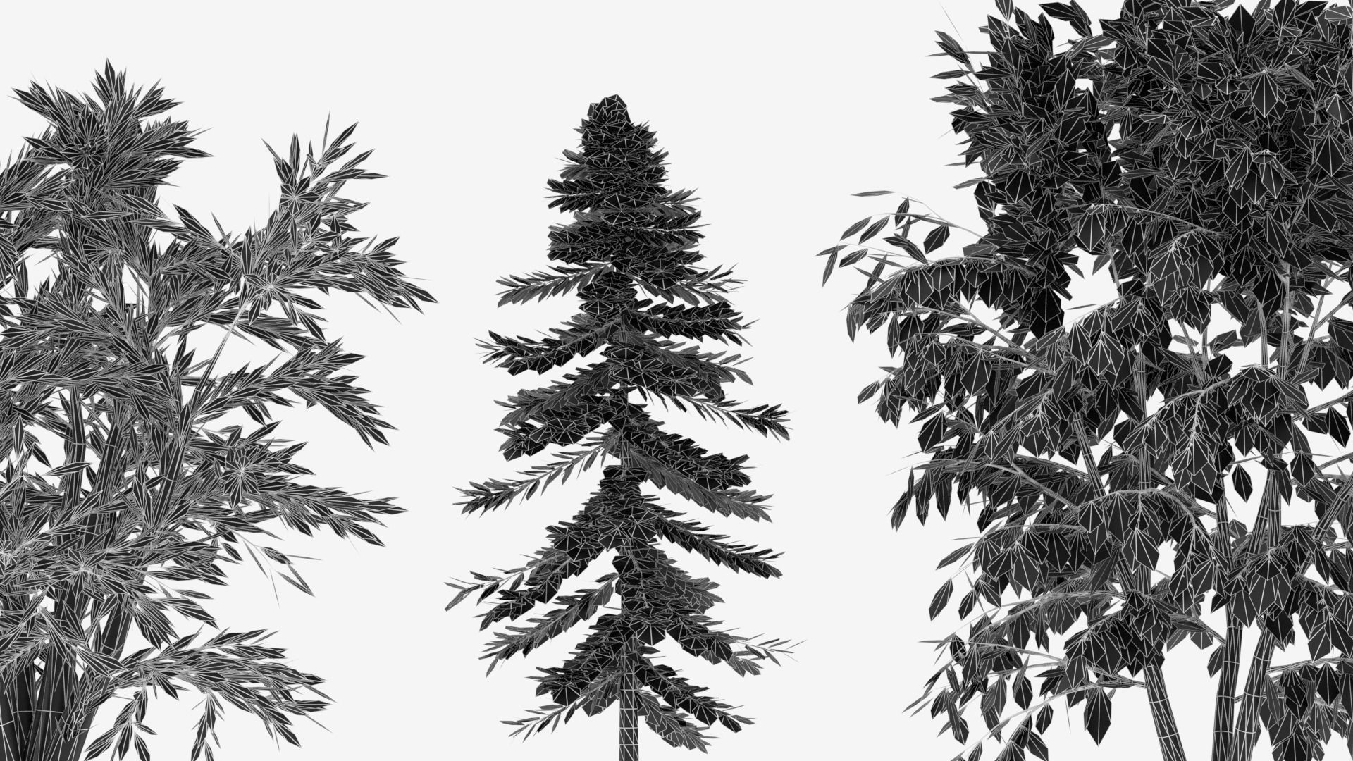 Tree Collection different trees 3D model_13
