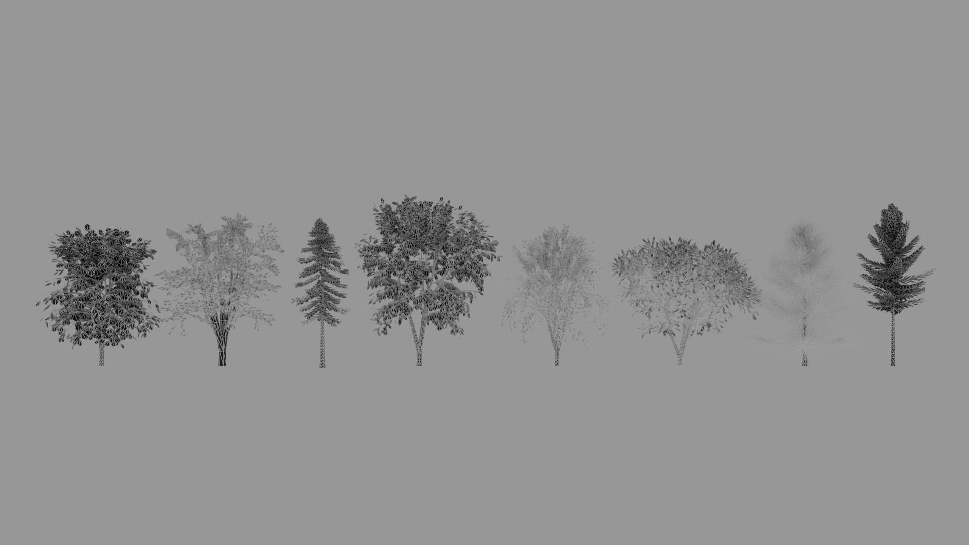 Tree Collection different trees 3D model_12