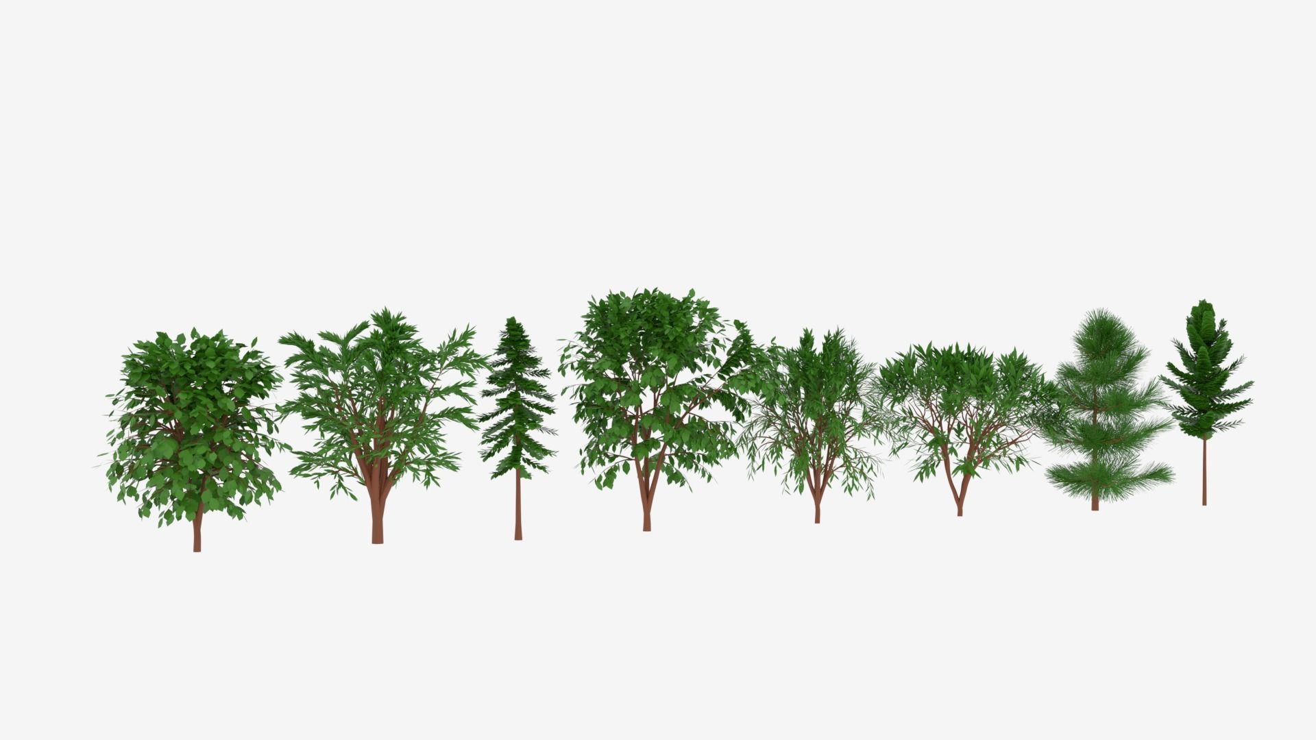 Tree Collection different trees 3D model_8