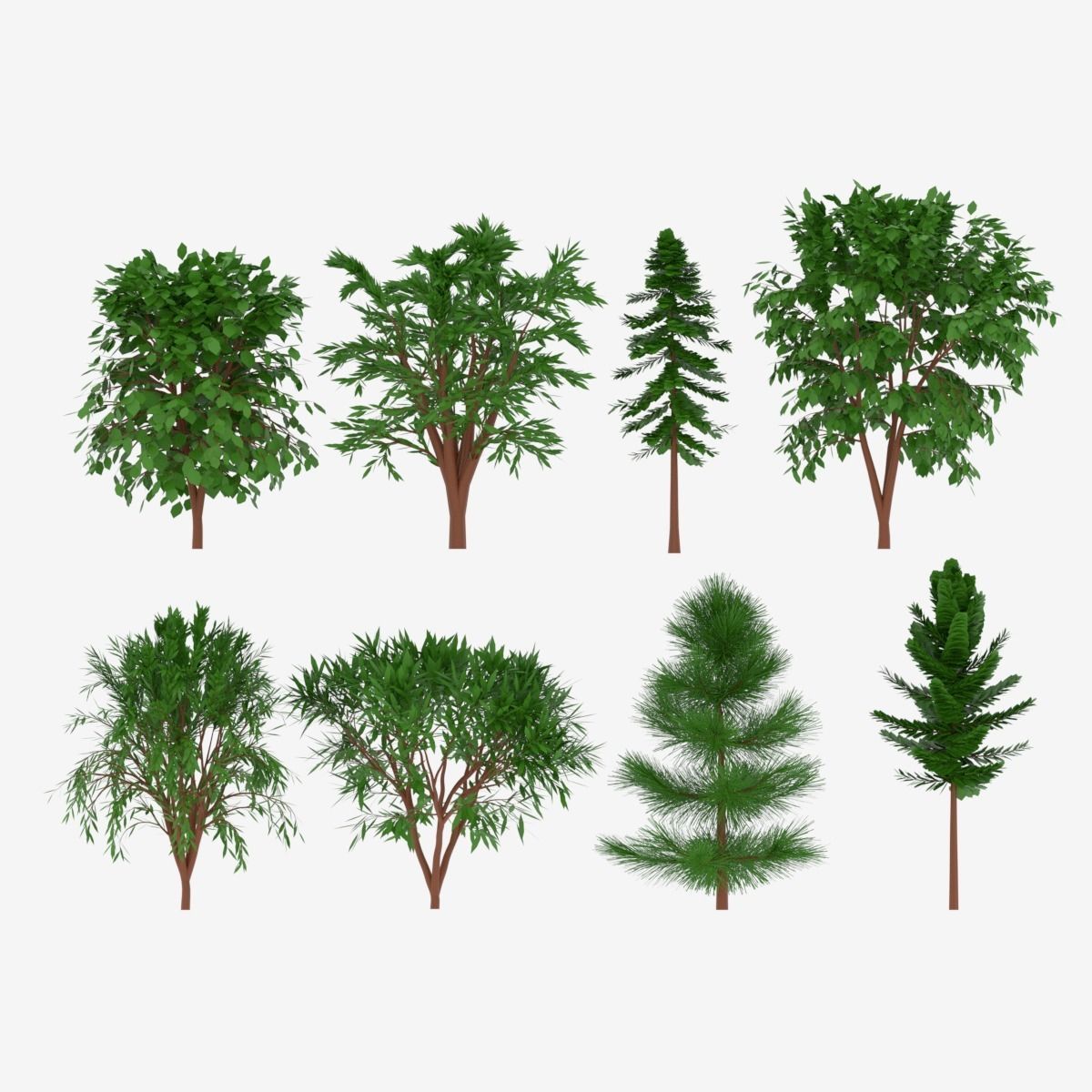 Tree Collection different trees 3D model_2