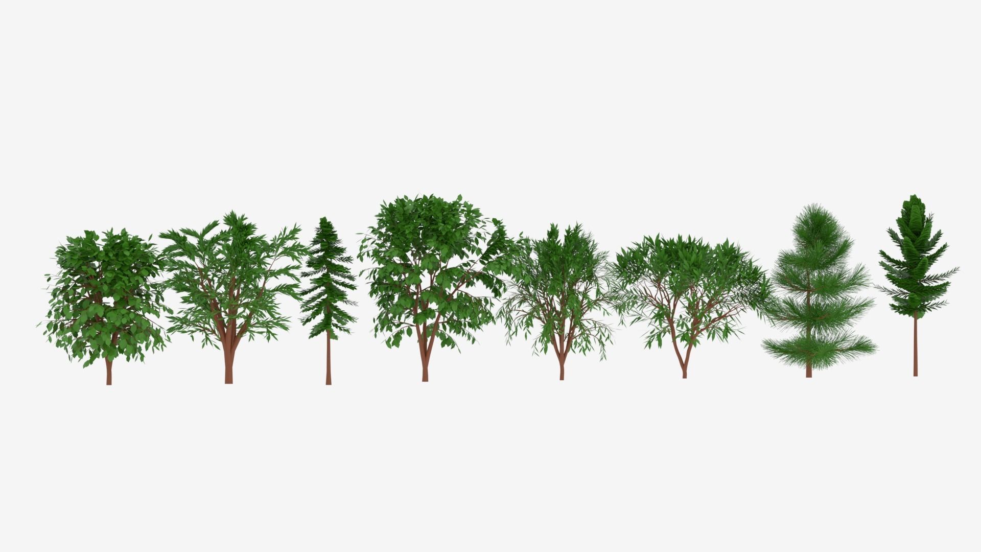 Tree Collection different trees 3D model_9