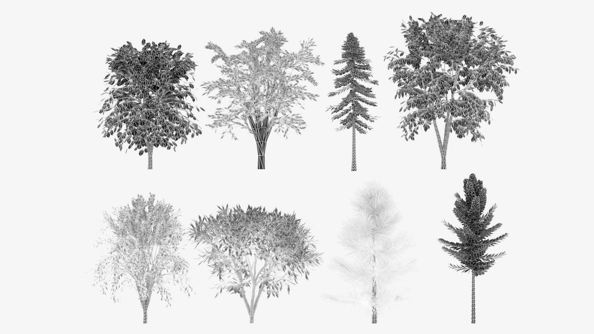 Tree Collection different trees 3D model_14