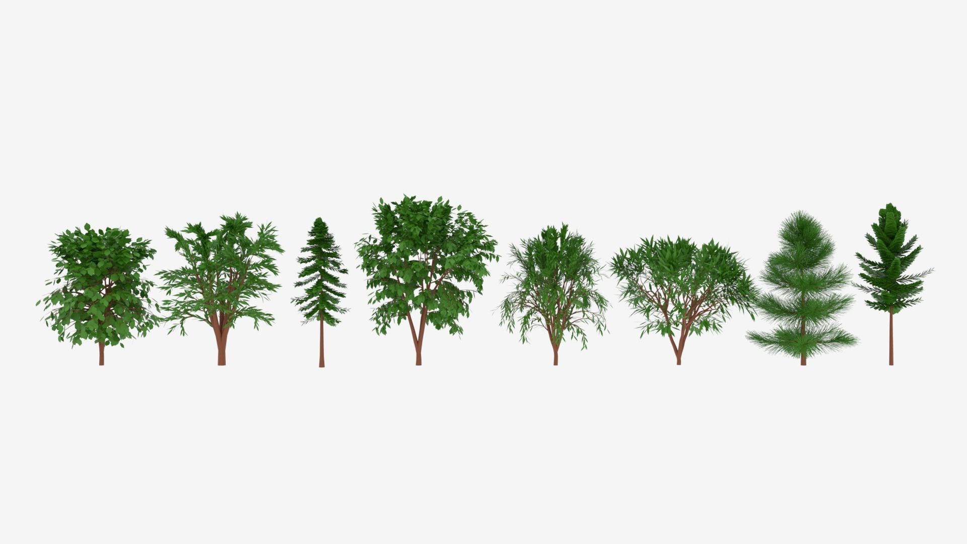 Tree Collection different trees 3D model_4
