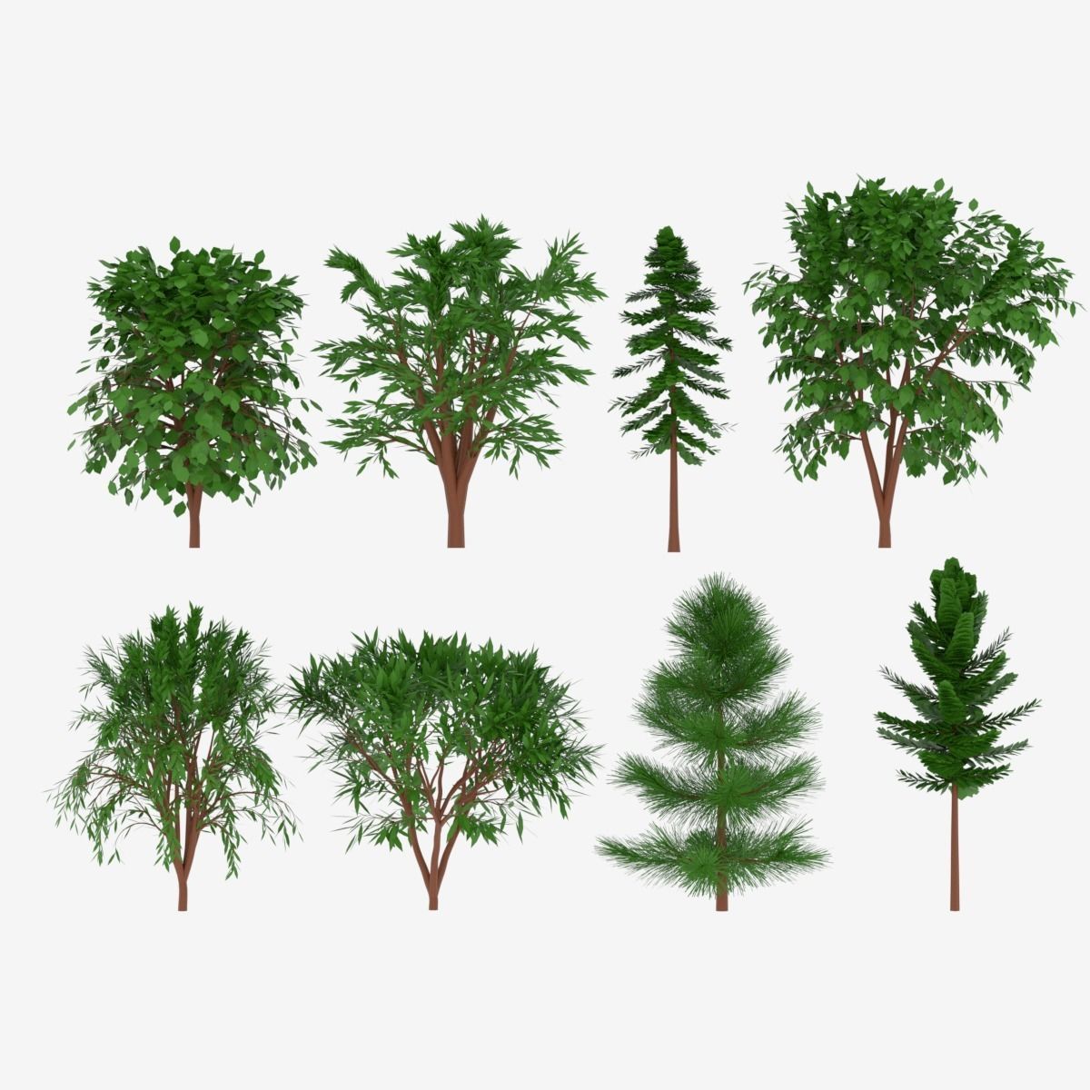 Tree Collection different trees 3D model_3