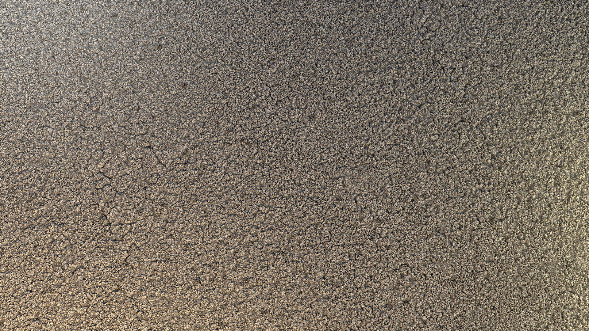 Swamp-Saline 02 Texture_2