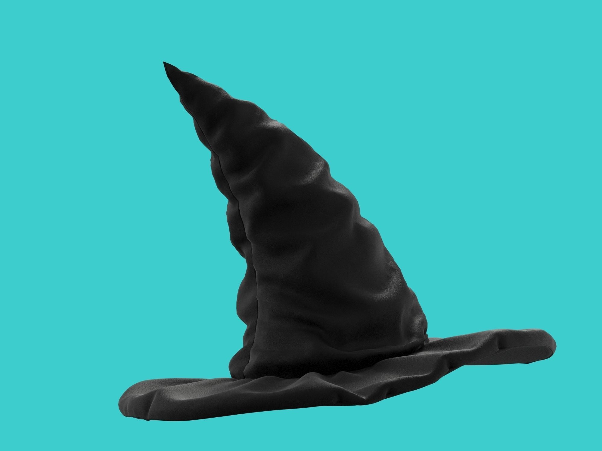 charming hat 3D model_5