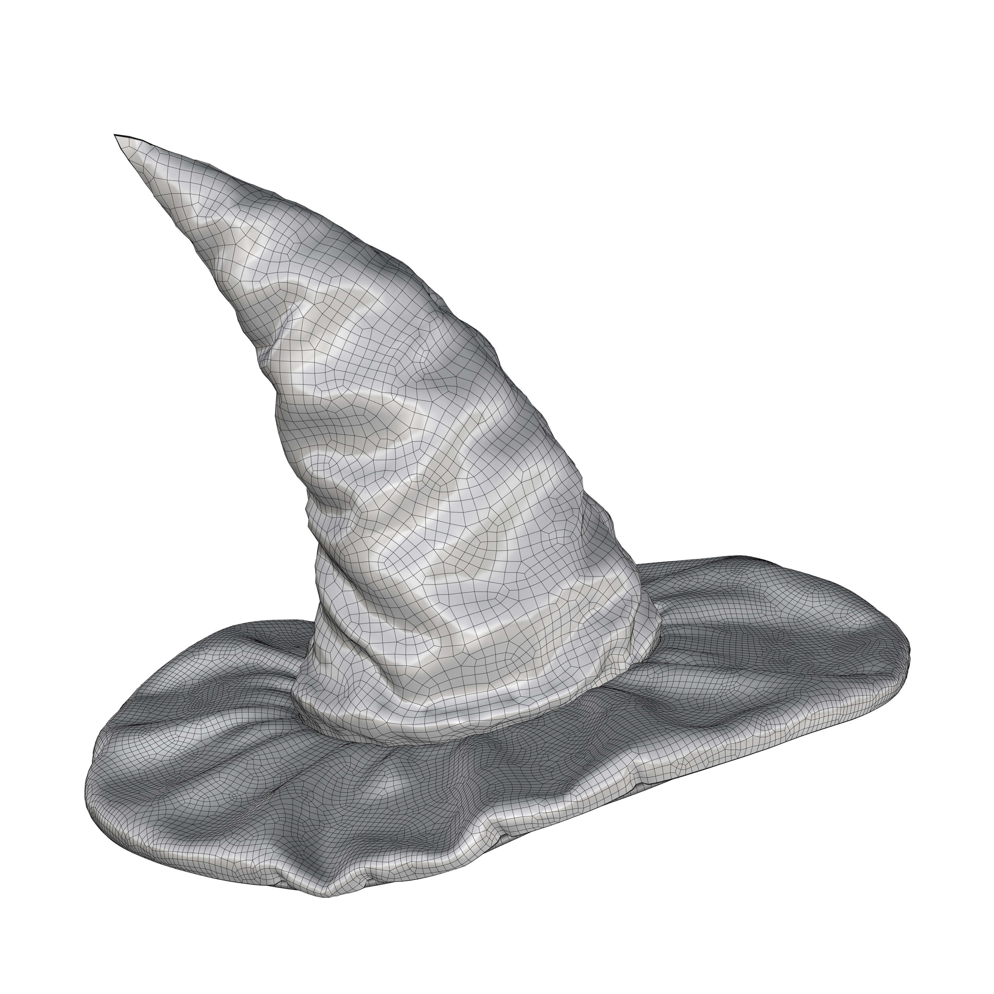 charming hat 3D model_13