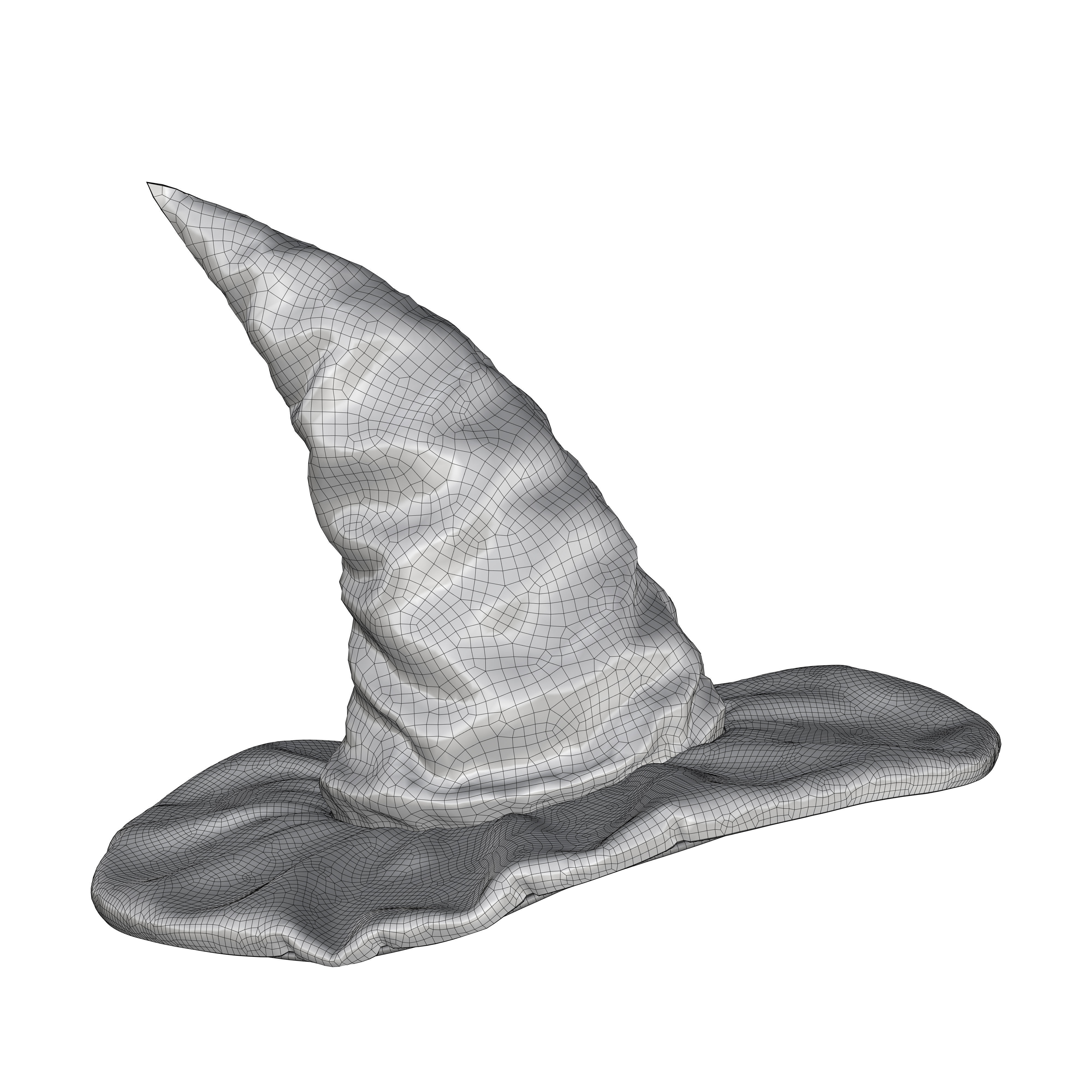 charming hat 3D model_14