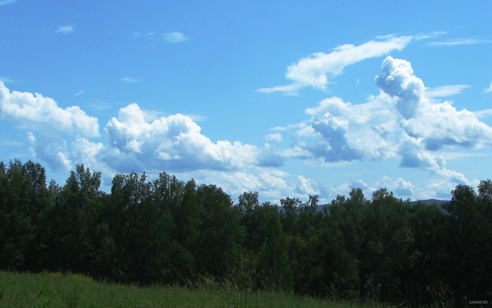 House in the woods near the river Low-poly 3D model_2
