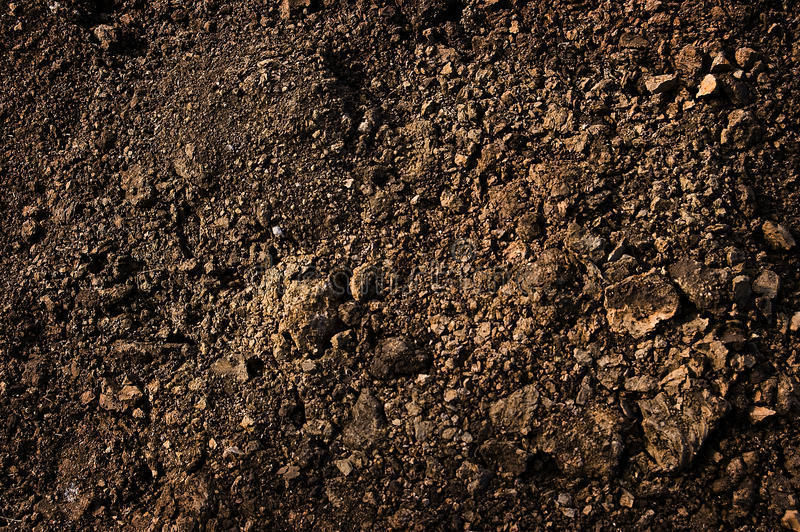 House in the woods near the river Low-poly 3D model_5