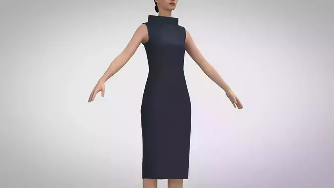 Sheath Dress