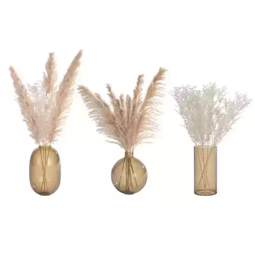 dried flowers set - pampas