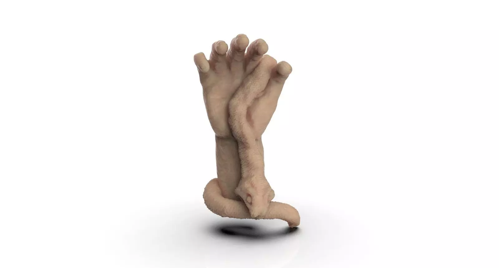 hand and snake bite 3D print model_0