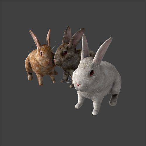 Lovely rabbit three only need friends away with binding 3D model