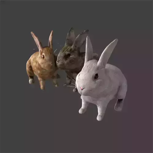 Lovely rabbit three only need friends away with binding 3D model