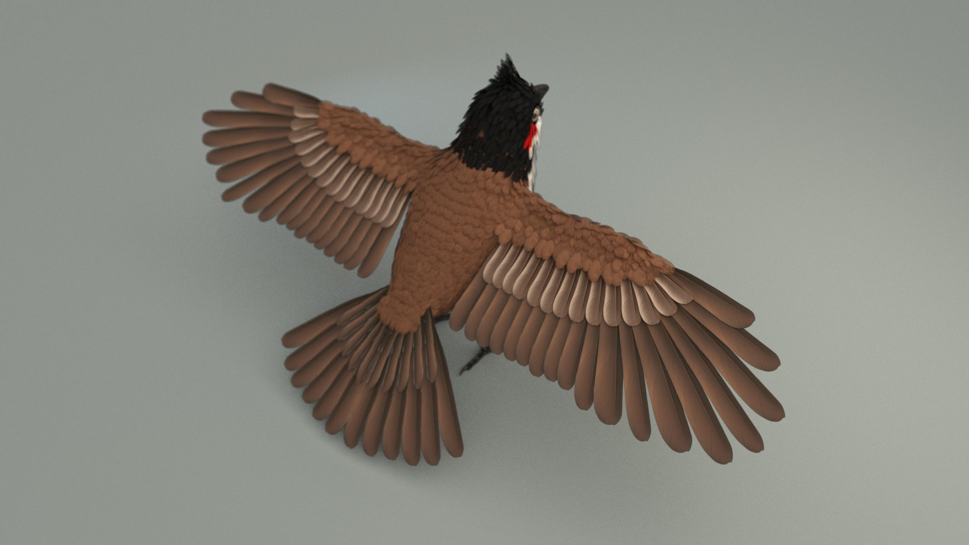 Bird bird sparrows binding model 3D model_2