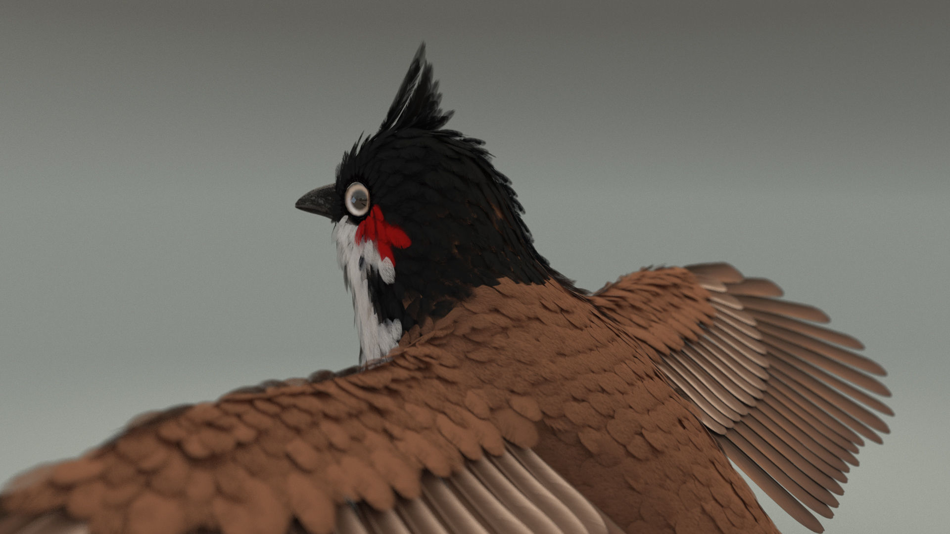 Bird bird sparrows binding model 3D model_5