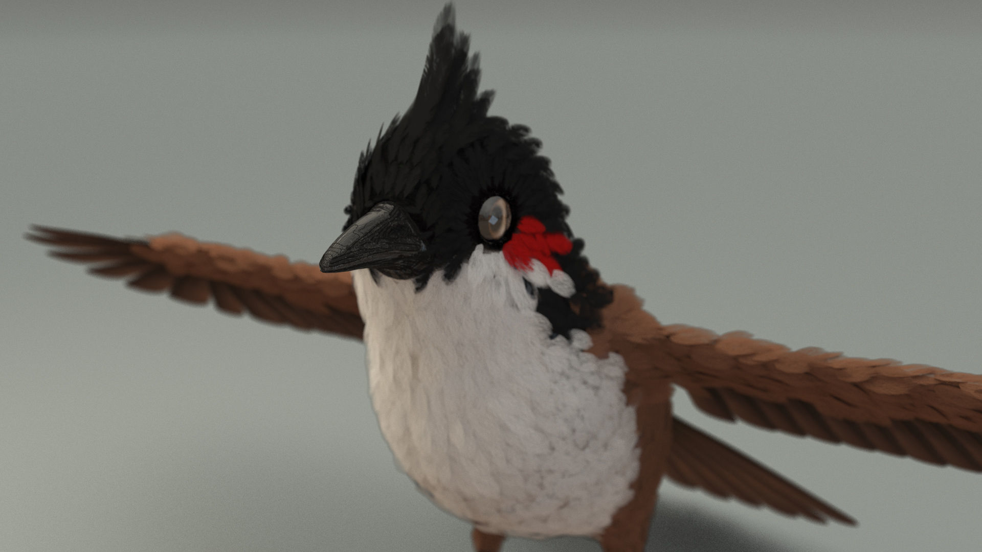 Bird bird sparrows binding model 3D model_4