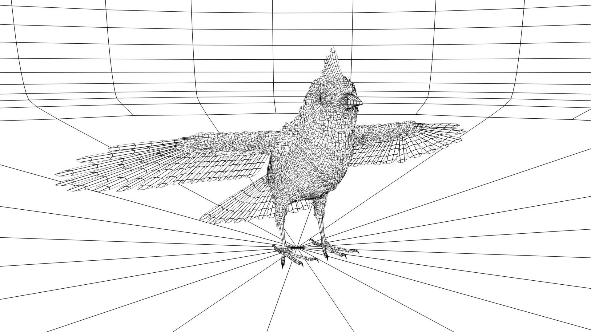 Bird bird sparrows binding model 3D model_6