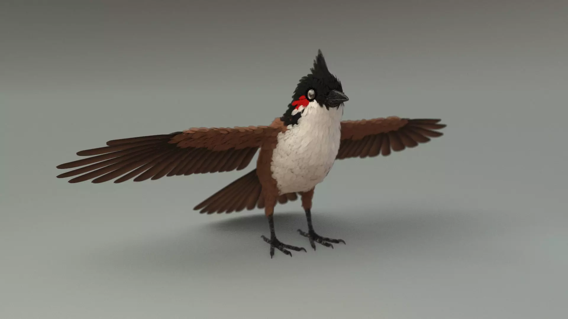 Bird bird sparrows binding model 3D model_0