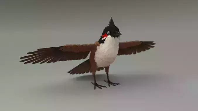 Bird bird sparrows binding model 3D model