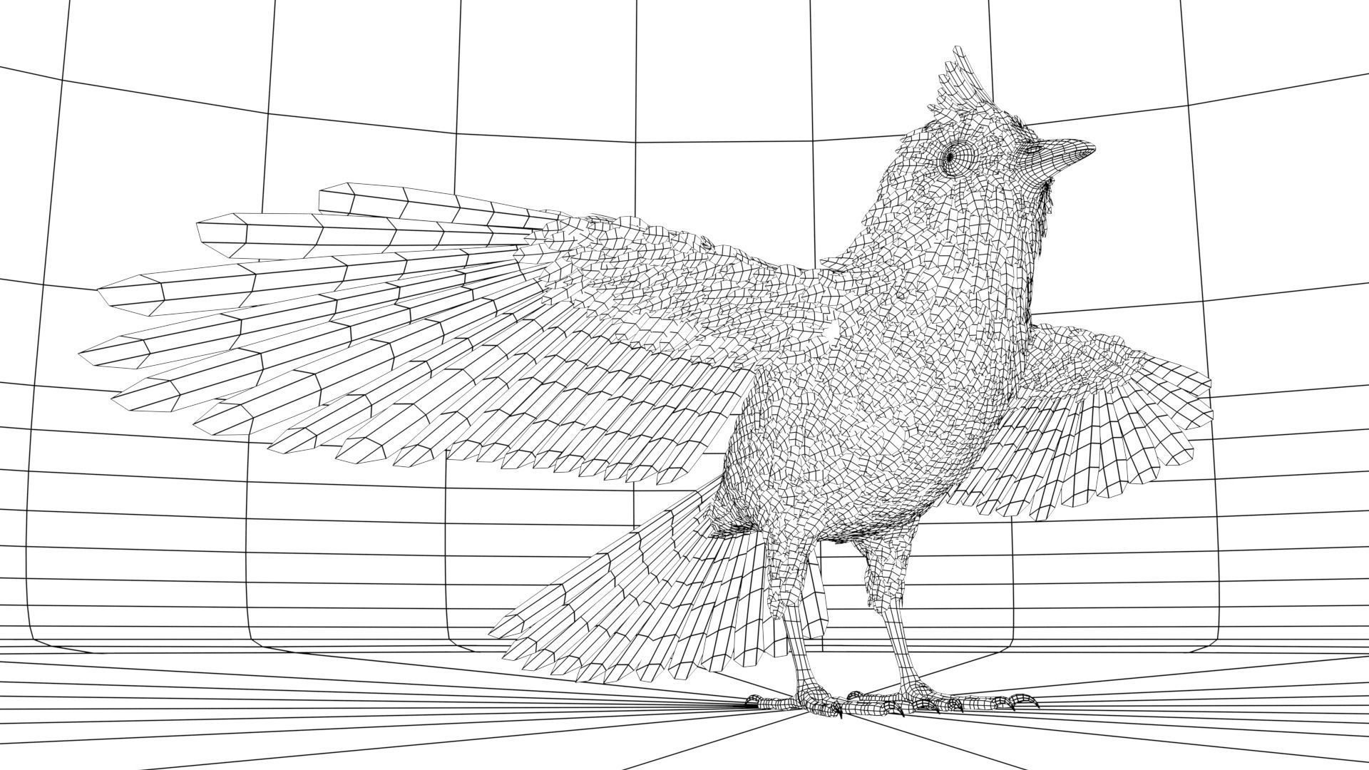 Bird bird sparrows binding model 3D model_7