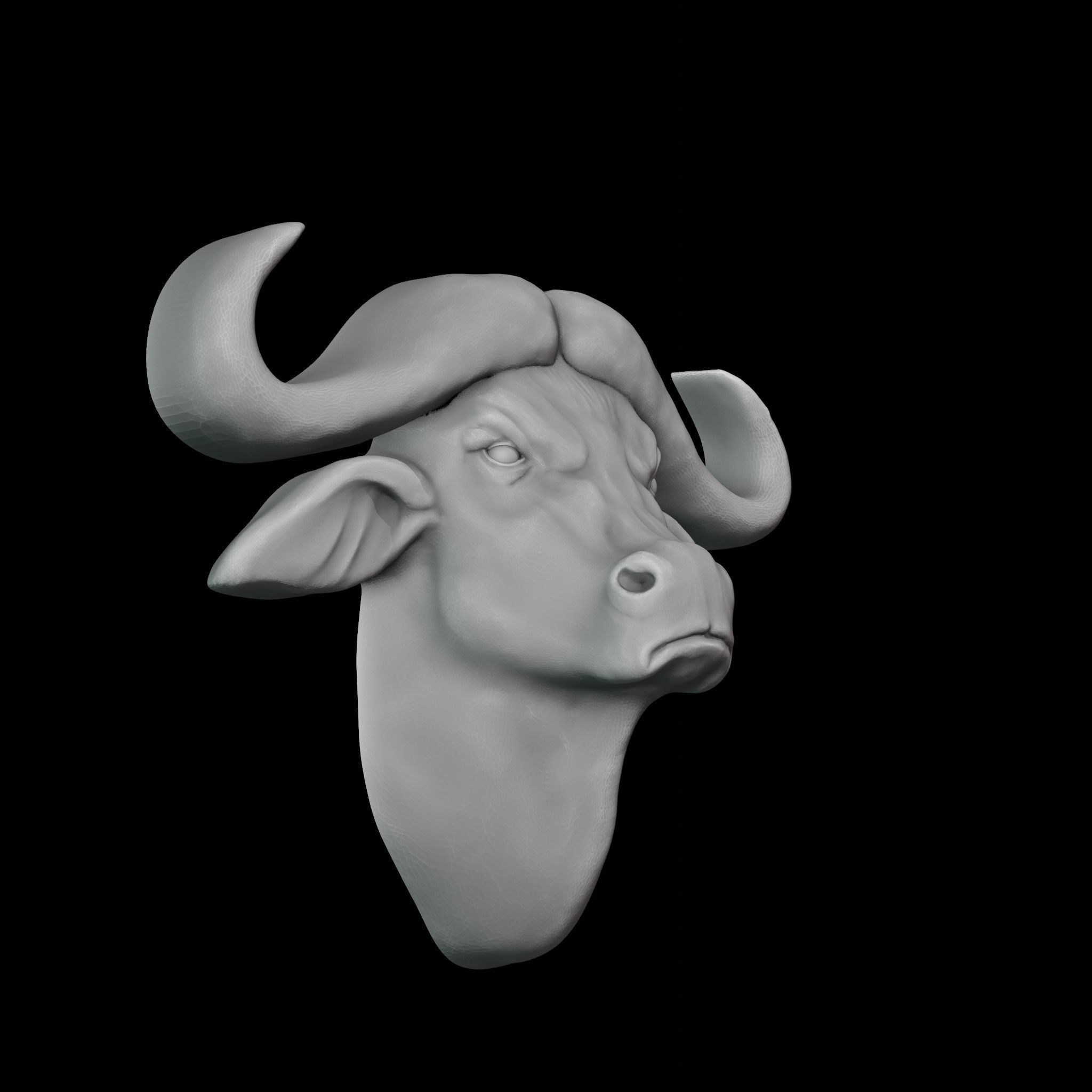 Buffalo decor 3D print model_2
