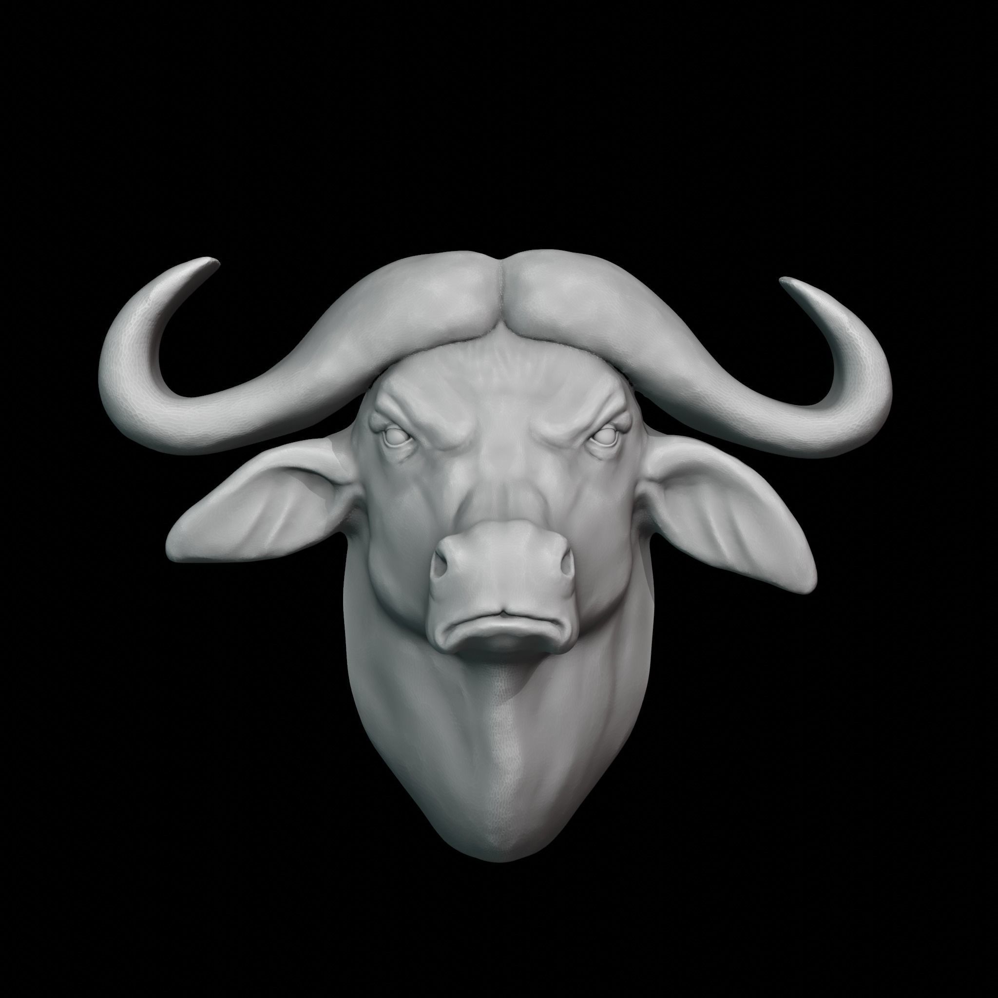 Buffalo decor 3D print model_0