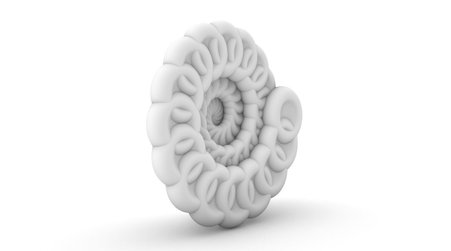 parametric spiral flower torus pendant 3D print model_7
