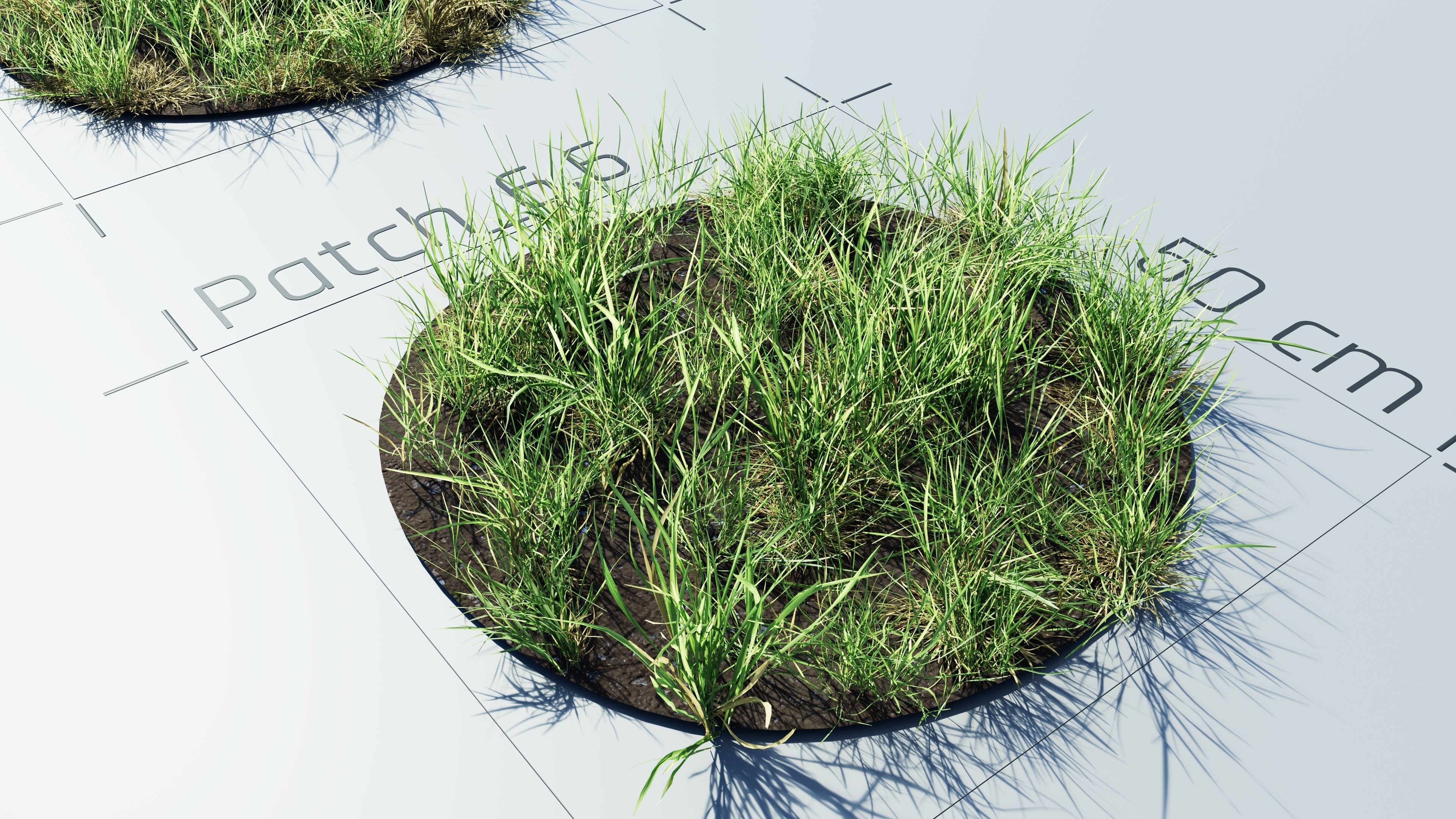 Realistic Grass Pack - CGrass v2 Low-poly 3D model_20