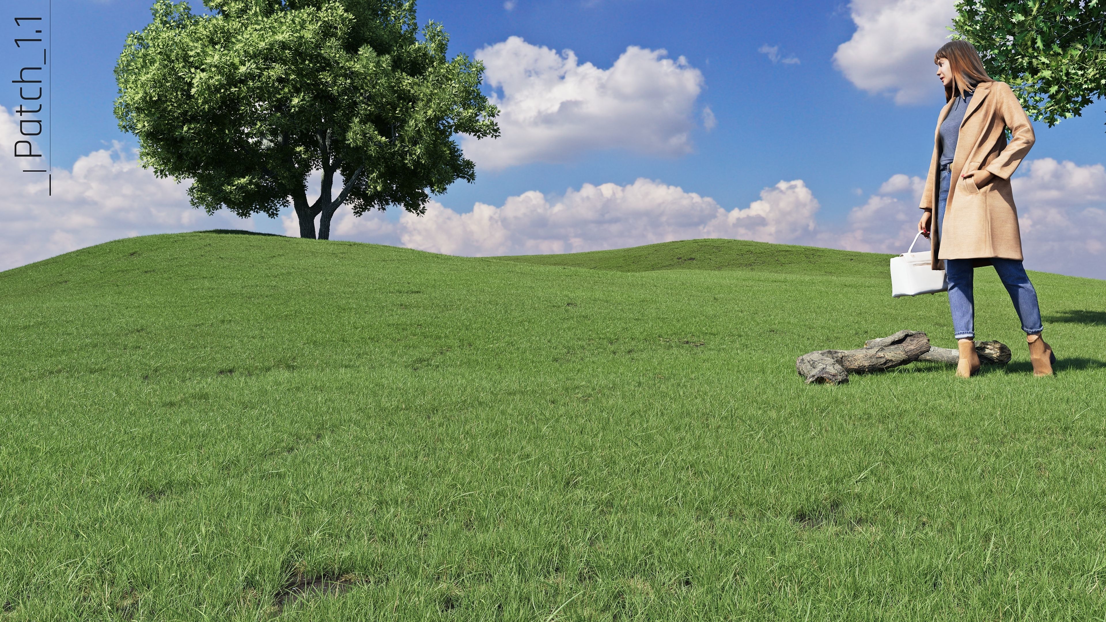 Realistic Grass Pack - CGrass v2 Low-poly 3D model_57