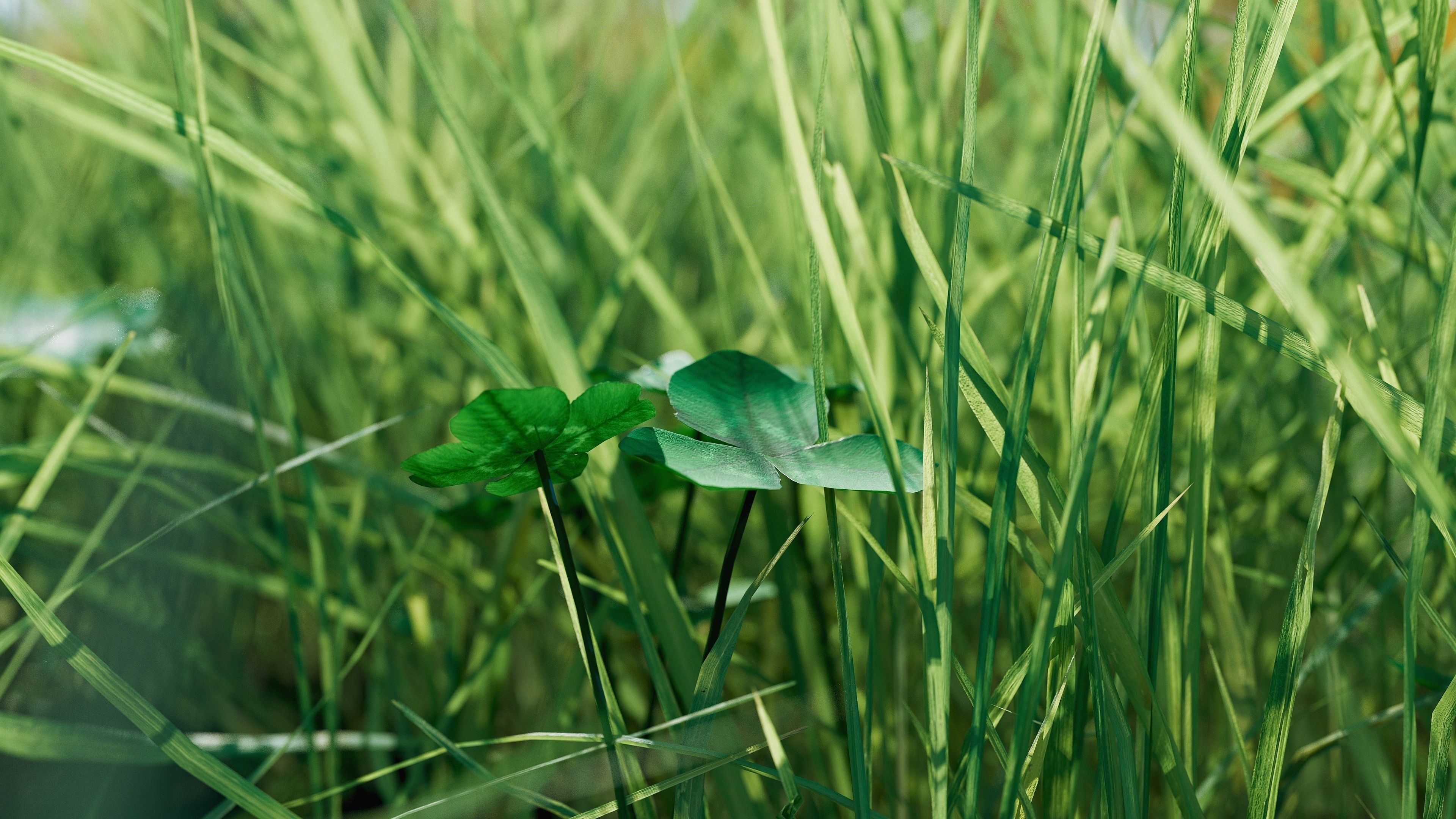 Realistic Grass Pack - CGrass v2 Low-poly 3D model_8