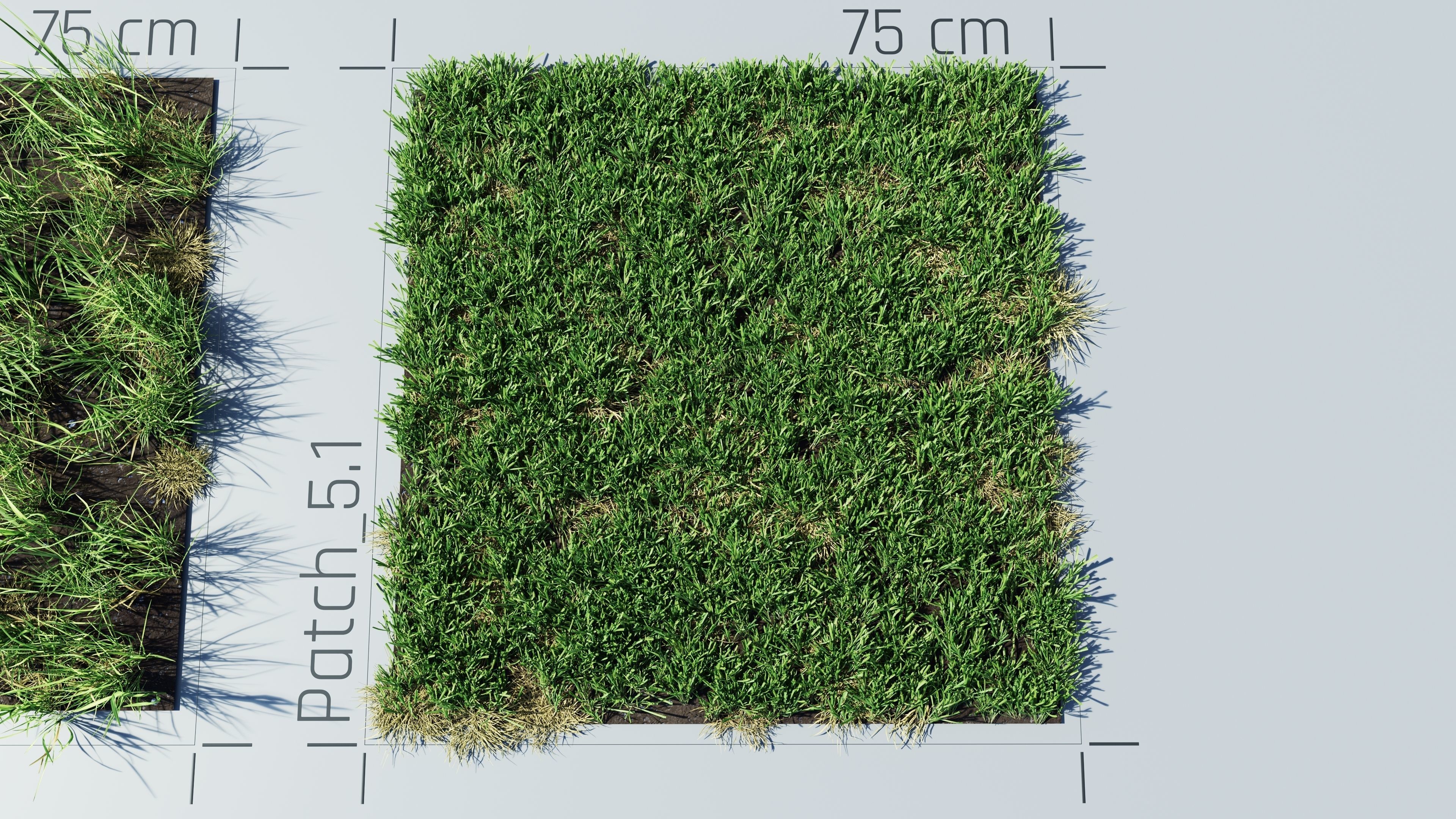 Realistic Grass Pack - CGrass v2 Low-poly 3D model_49