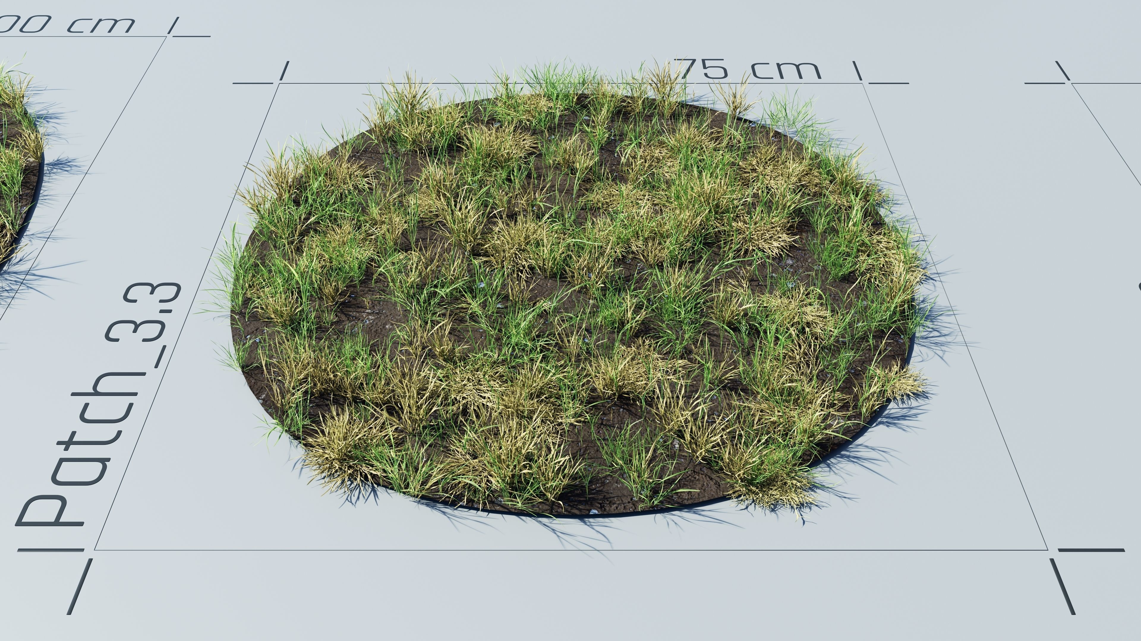 Realistic Grass Pack - CGrass v2 Low-poly 3D model_23