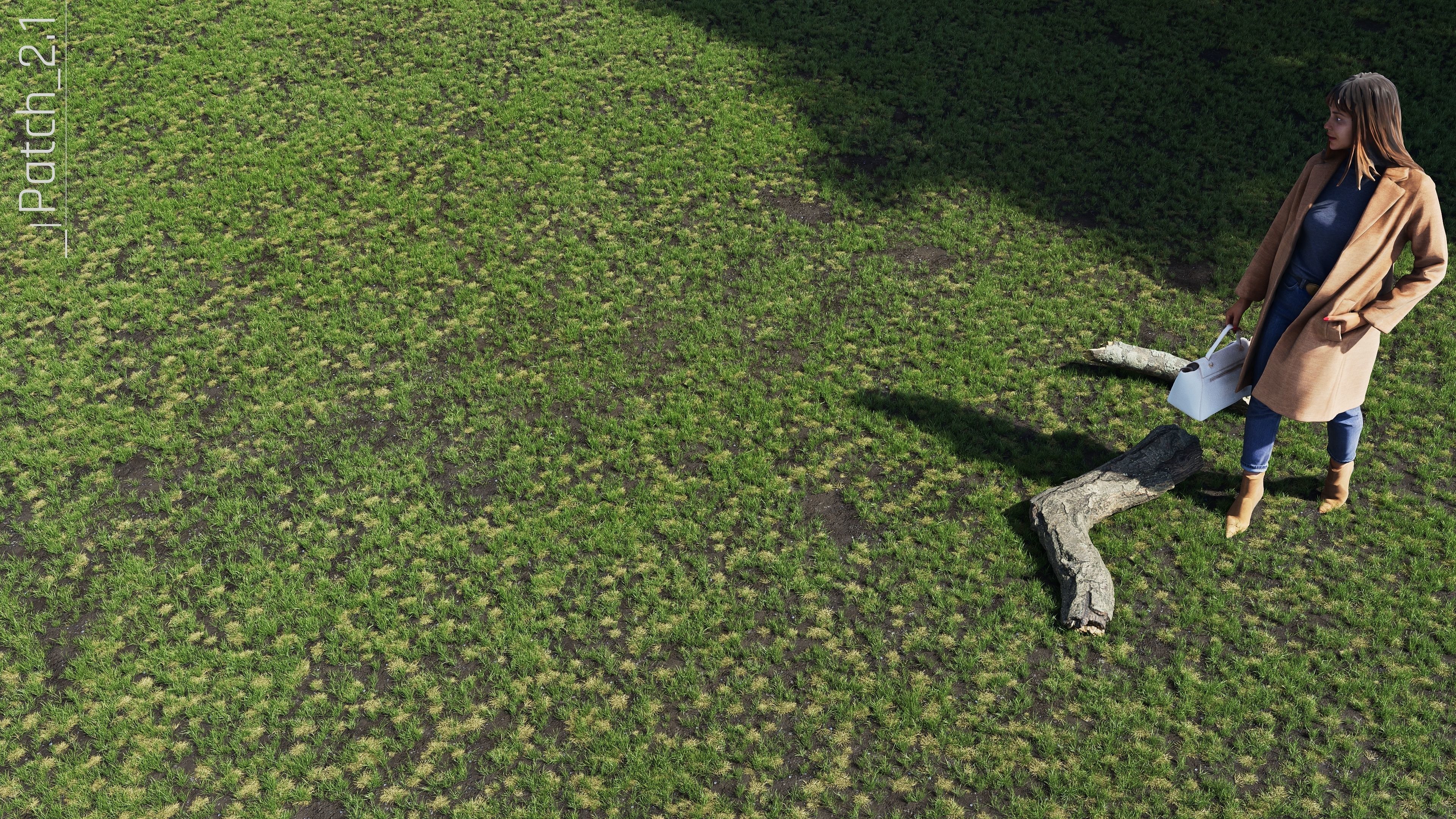 Realistic Grass Pack - CGrass v2 Low-poly 3D model_60