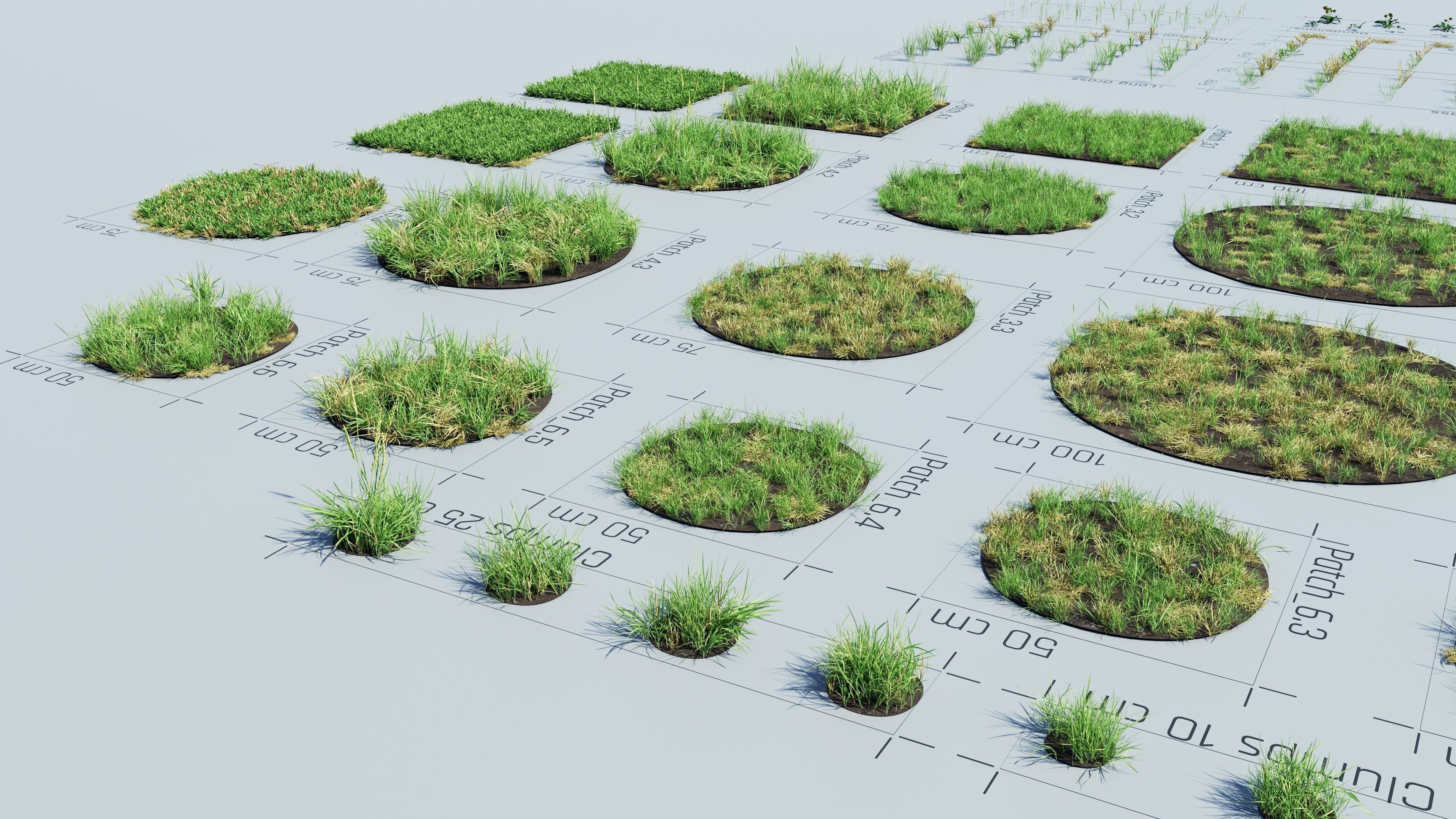 Realistic Grass Pack - CGrass v2 Low-poly 3D model_41