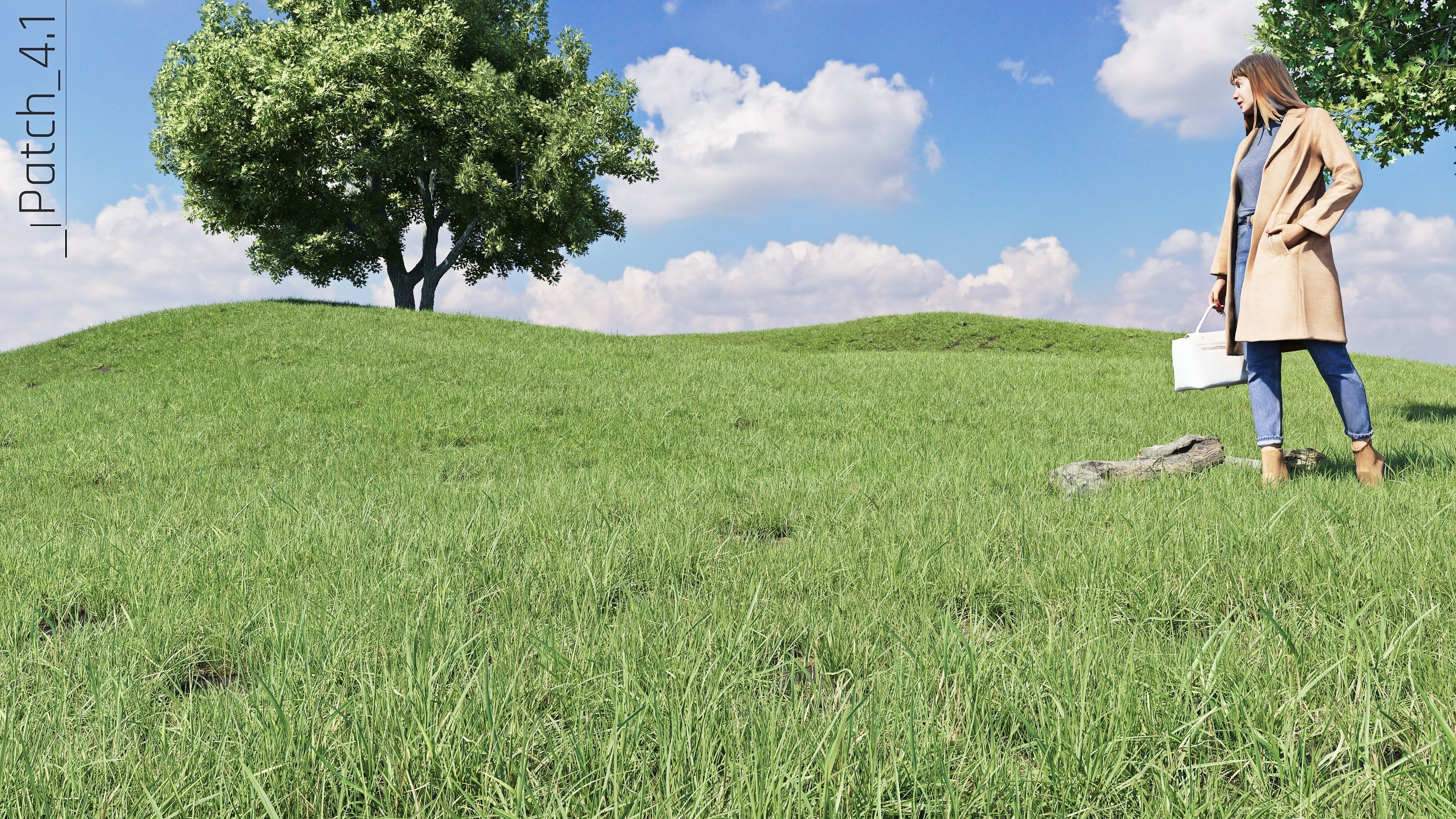 Realistic Grass Pack - CGrass v2 Low-poly 3D model_59