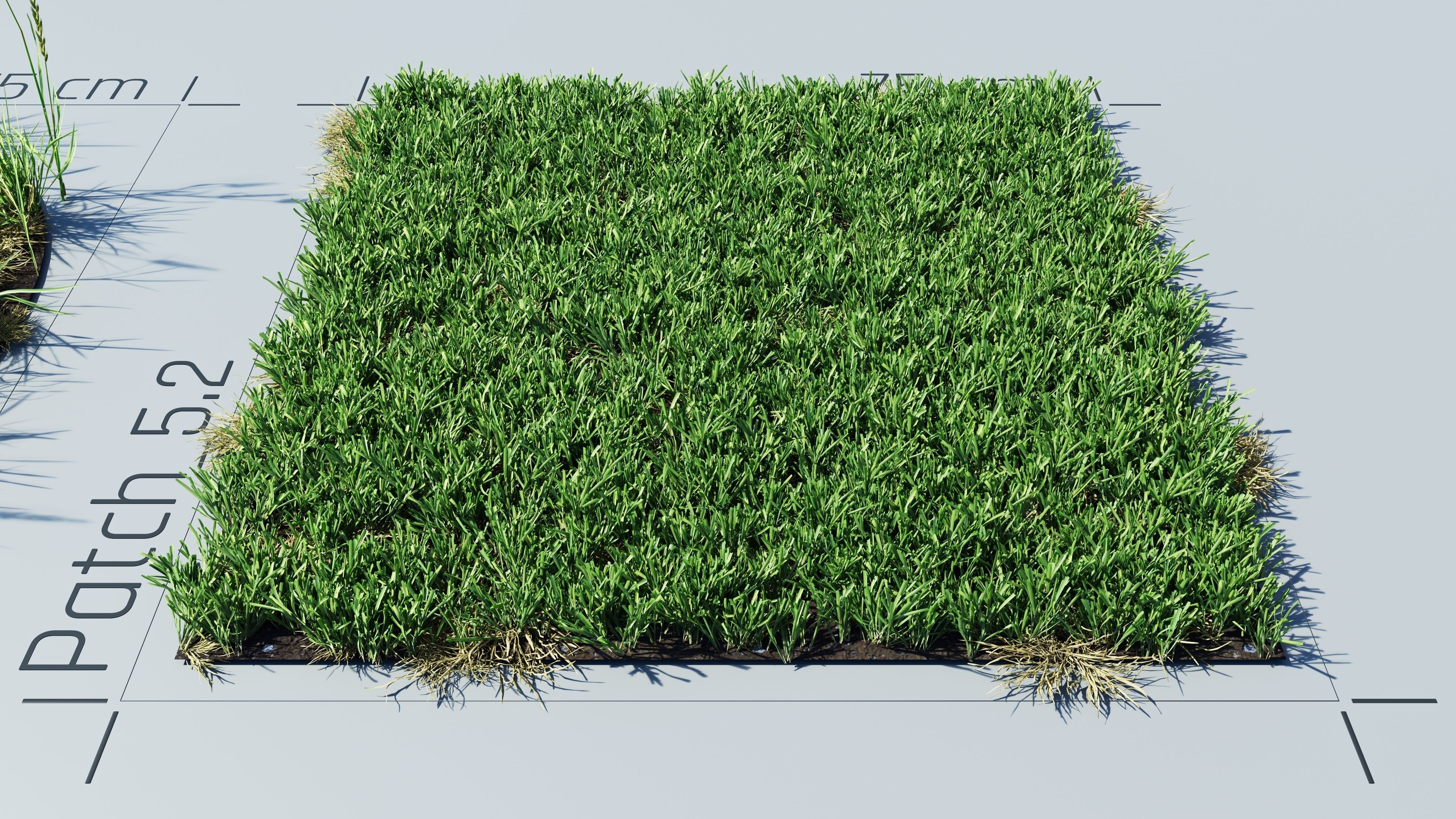 Realistic Grass Pack - CGrass v2 Low-poly 3D model_16